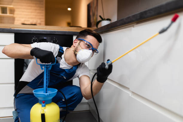 Best Cockroach Control Services  in North Seekonk, MA