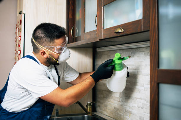 Best Local Pest Control Services  in North Seekonk, MA