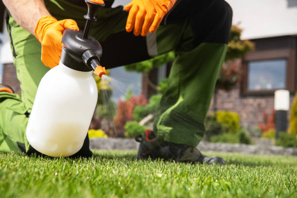 Best Affordable Pest Control Services  in North Seekonk, MA