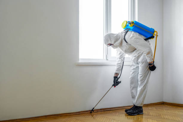 Professional Pest Control in North Seekonk, MA