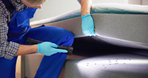Best Best Pest Control Companies  in North Seekonk, MA