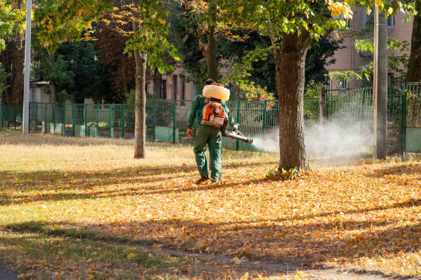 Best Pest Removal Services  in North Seekonk, MA