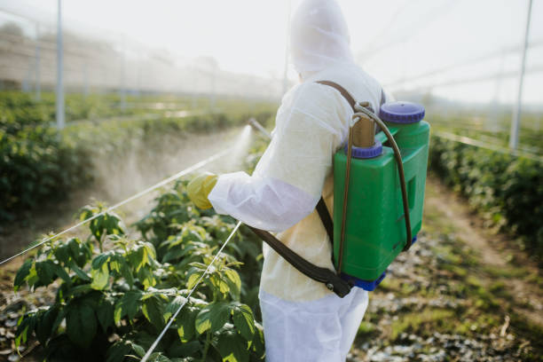 Best Pest Control Treatment  in North Seekonk, MA